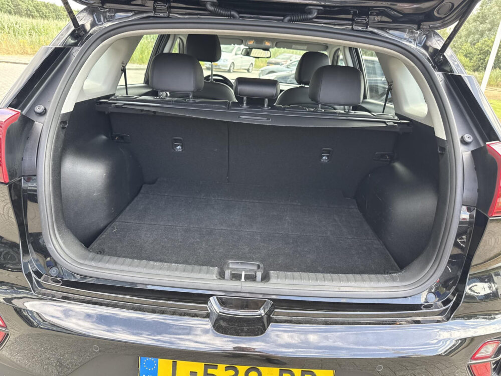 Kia Niro 1.6 GDi Hybrid DynamicLine 16