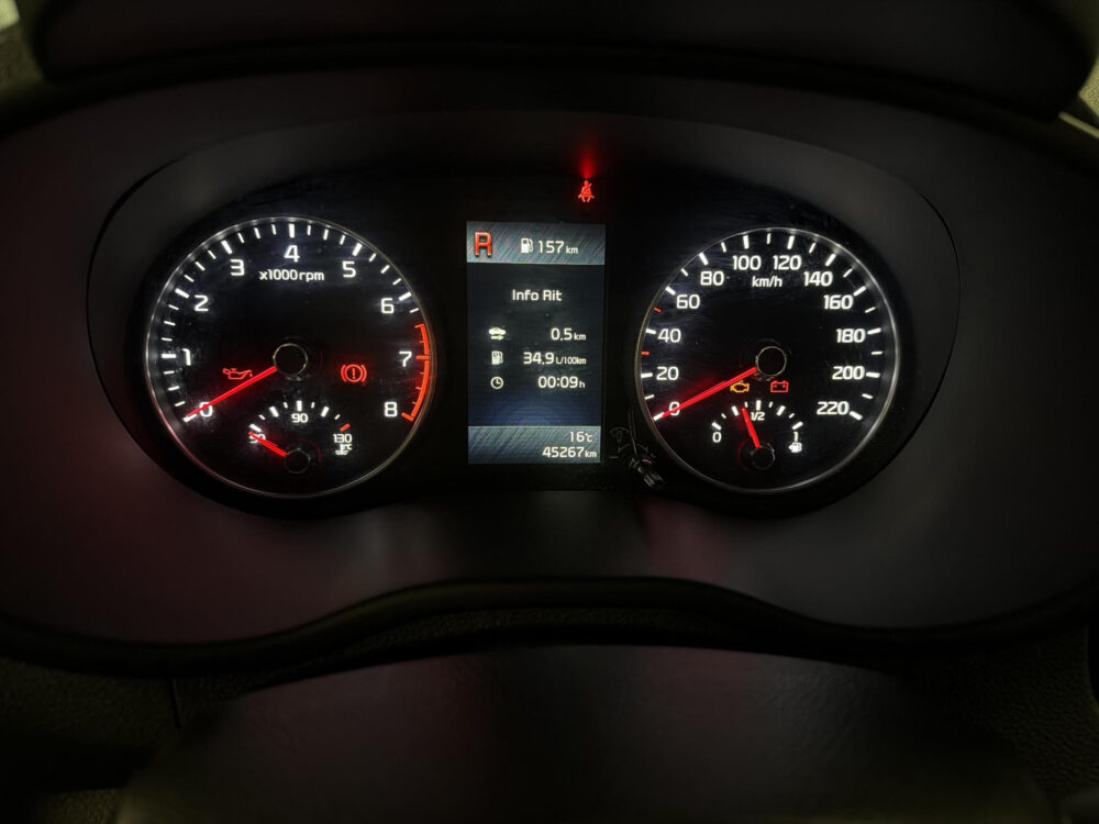 Kia Picanto 1.0 DPi DynamicLine 13