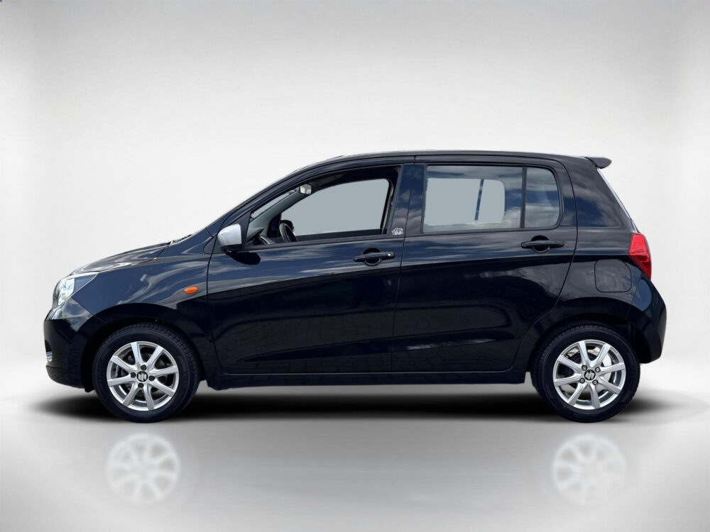 Suzuki 1