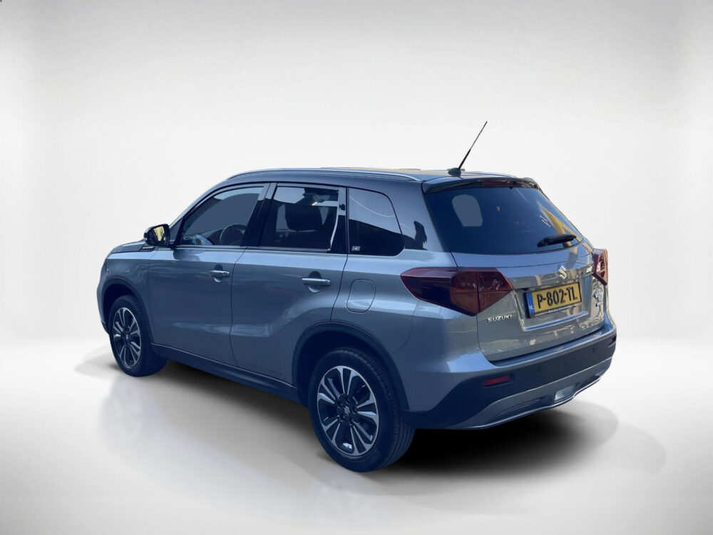 Suzuki 2