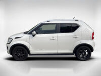 Suzuki 18