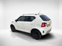 Suzuki 19