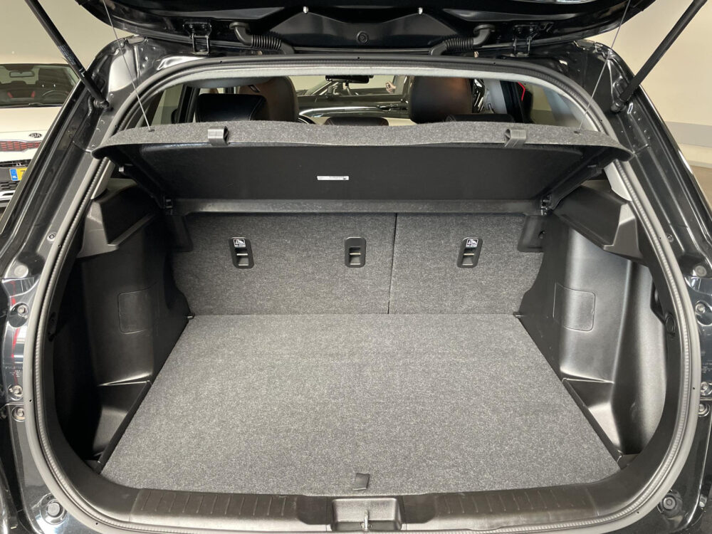 Suzuki 16