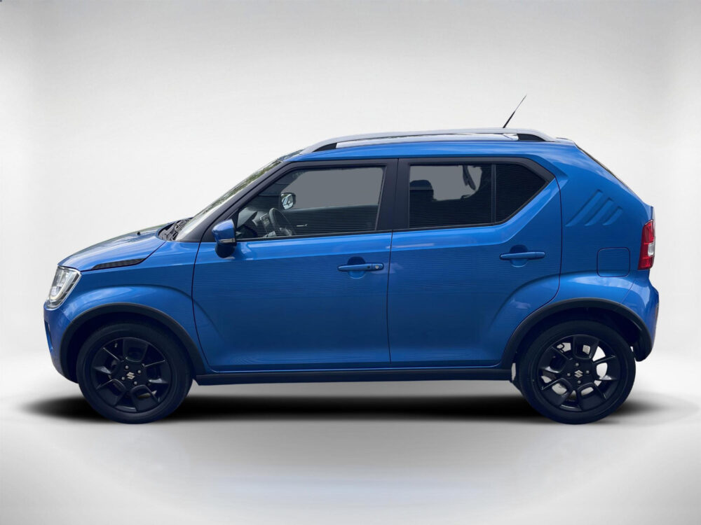 Suzuki 1