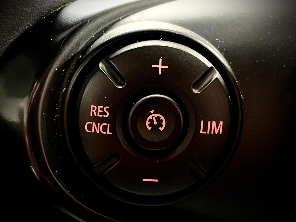Mini Mini Countryman 2.0 Cooper S ALL4 Chili PANO NAVI 192 PK TREKHAAK AFNEEMBAAR 31