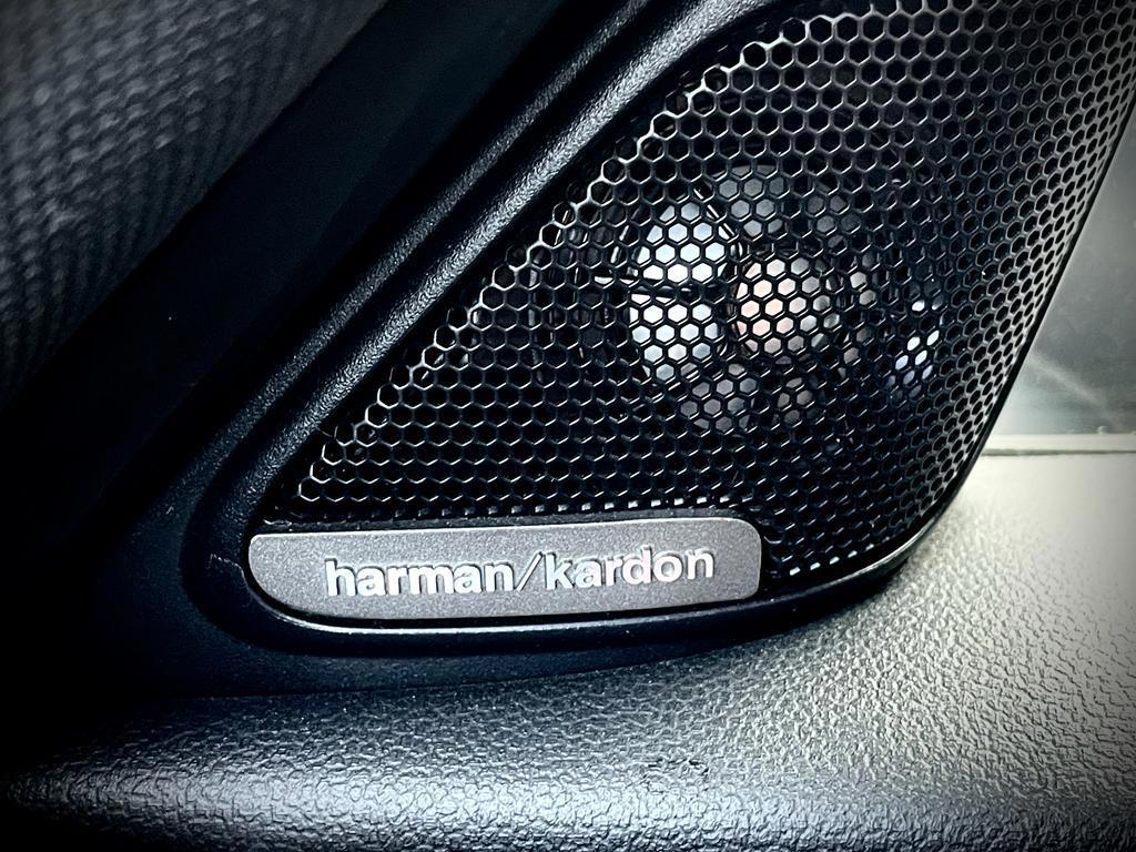 Mini Mini Countryman 2.0 Cooper S White Silver Edition PANO NAVI 190 PK 37