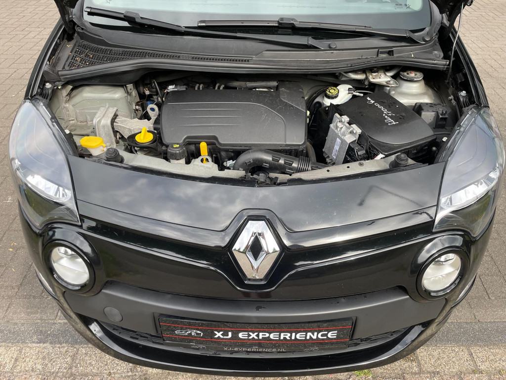 Renault Twingo 1.2 16V Acces OPEN DAK PANO 29