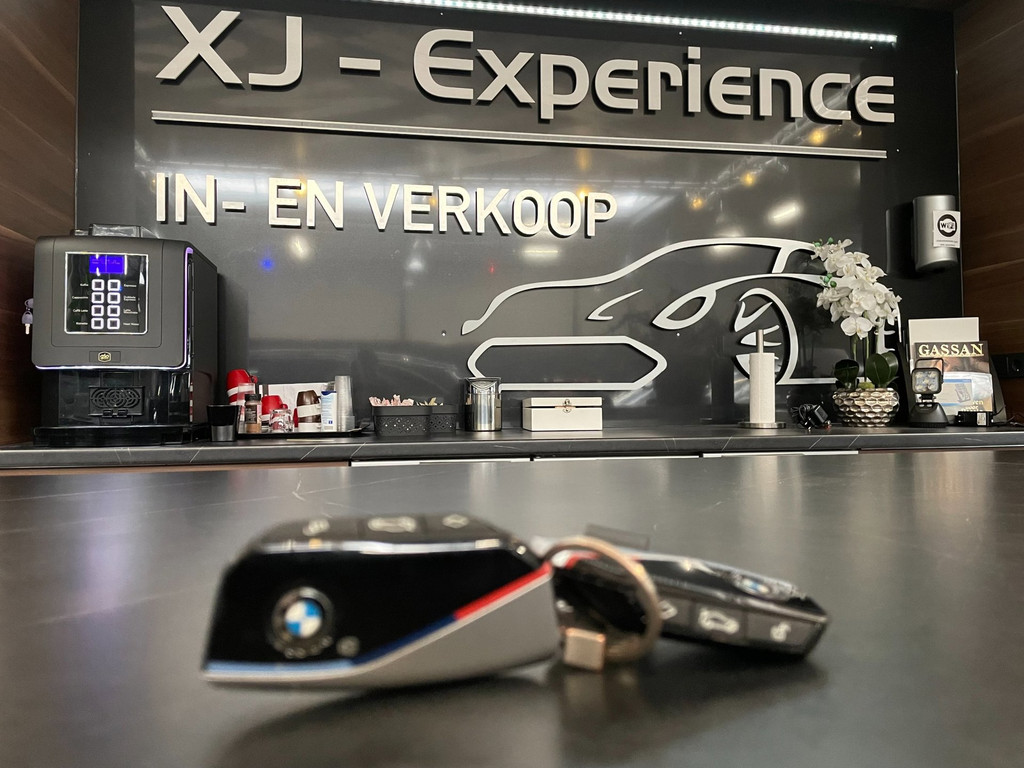 BMW X2 SDrive20i M-Sport Launch Edition NAP MASSAGE PANO GARANTIE EL.TREKHAAK 76