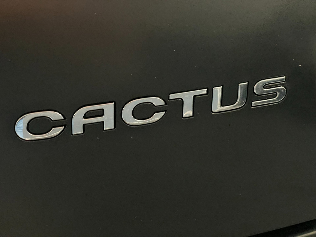 Citroen C4 CACTUS 1.2 PureTech Business AIRCO STOELVERW CAMERA 11