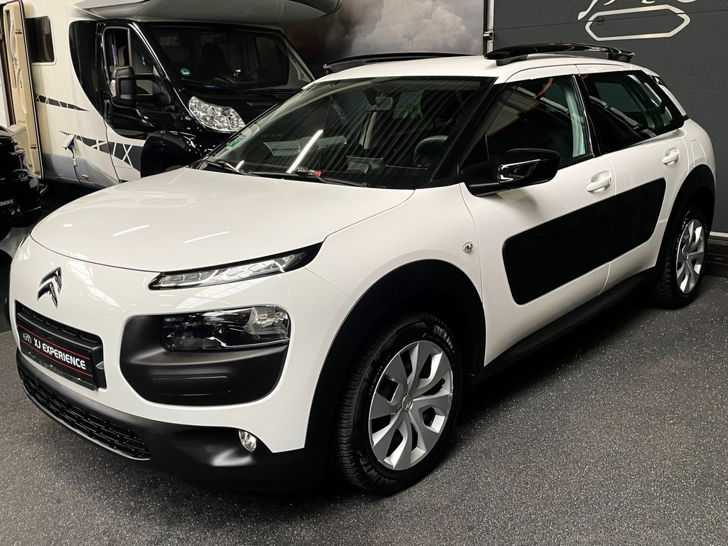 Citroen C4 CACTUS 1.2 PureTech Business AIRCO STOELVERW CAMERA 2