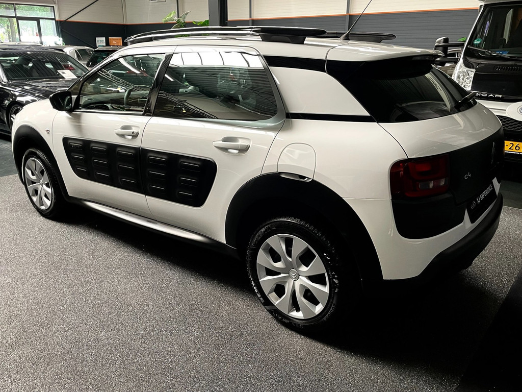 Citroen C4 CACTUS 1.2 PureTech Business AIRCO STOELVERW CAMERA 3