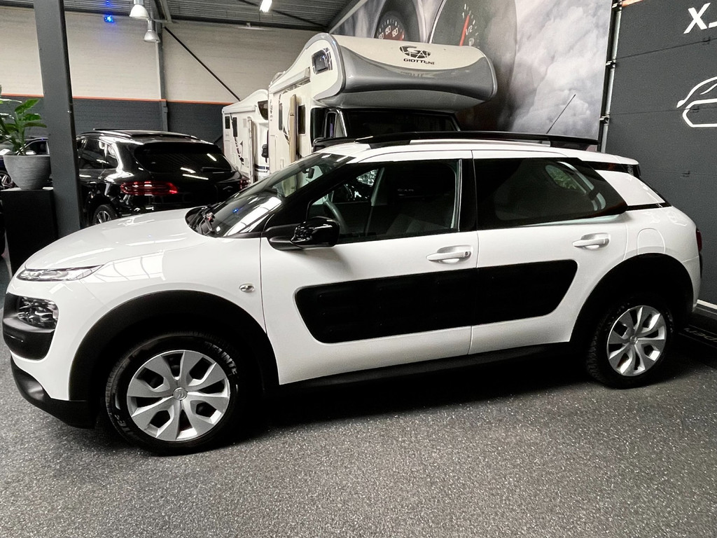 Citroen C4 CACTUS 1.2 PureTech Business AIRCO STOELVERW CAMERA 8