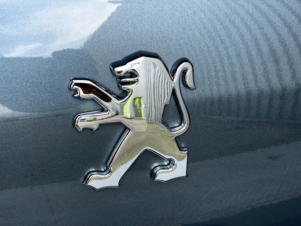 Peugeot 307 1.6-16V Oxygo AIRCO TREKH CRUISECNTRL NAP 10